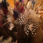 2017-02-12-23-01-23-1